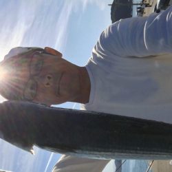 今日は、ぼらを吸い込みでゲット＾＾口太クロもゲット。